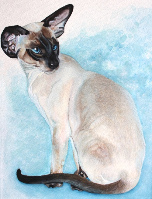 Seal Point Siamese Cat Painting