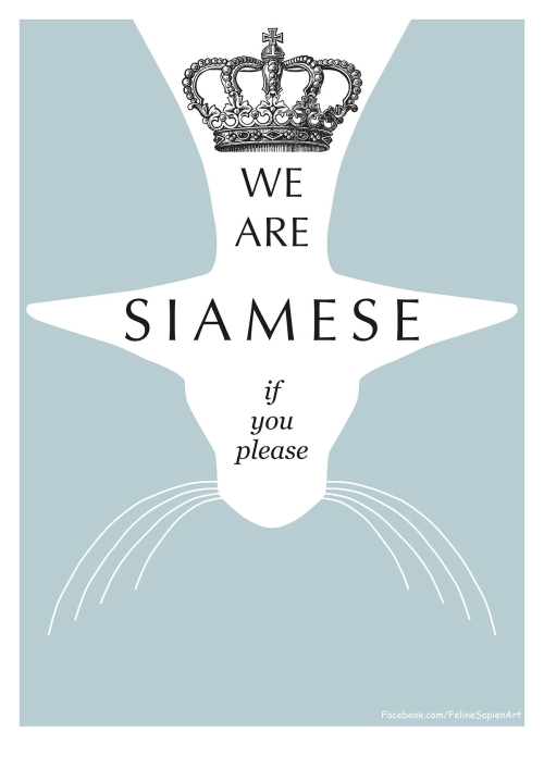 We-are-Siamese Duck Egg
