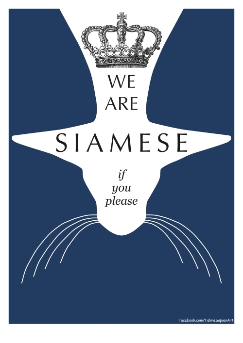 We-are-Siamese Navy