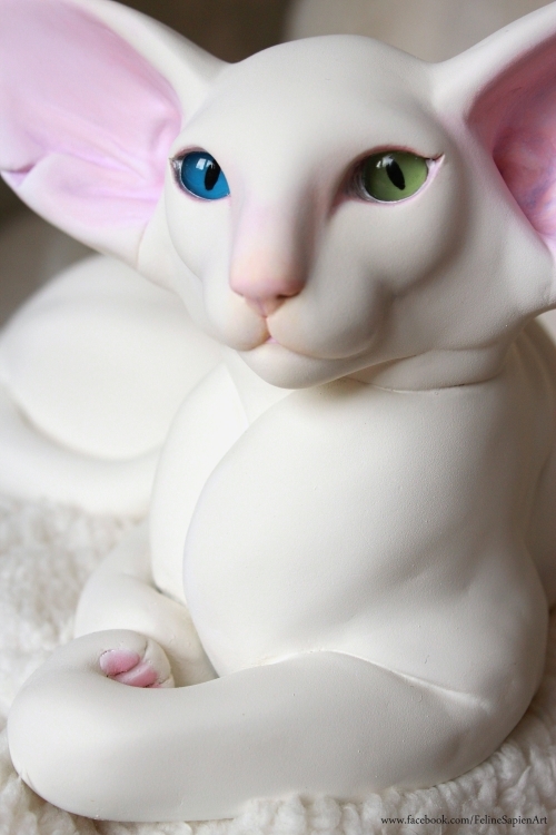 White Oriental with Odd Eyes Cat Sculpture
