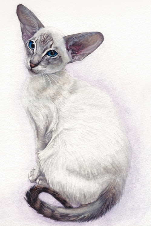 Siamese Cat Painting by Feline Sapien https://www.facebook.com/FelineSapienArt