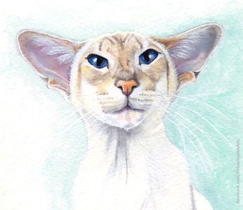 Siamese Cat Painting art